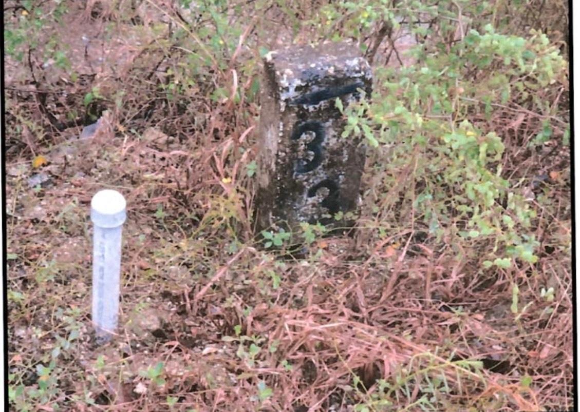 Residential-Lot-for-Sale-in-Palmbrook-Estate-St.-Elizabeth-Jamaica First image of Lot 337 Palmbrook Estate, Cashoo, in Lacovia, St. Elizabeth, Jamaica - property is For Sale