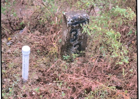 First image of Lot 337 Palmbrook Estate, Cashoo, in Lacovia, St. Elizabeth, Jamaica - property is For Sale