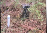 First image of Lot 337 Palmbrook Estate, Cashoo, in Lacovia, St. Elizabeth, Jamaica - property is For Sale