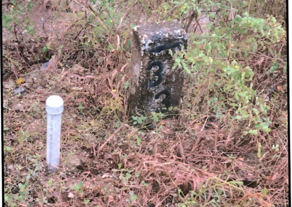 First image of Lot 337 Palmbrook Estate, Cashoo, in Lacovia, St. Elizabeth, Jamaica - property is For Sale