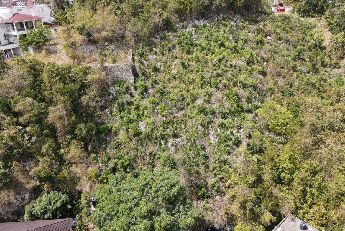 Twentieth image of 6 Sterling Castle, Kingston in Kingston 19, St. Andrew, Jamaica - property is For Sale