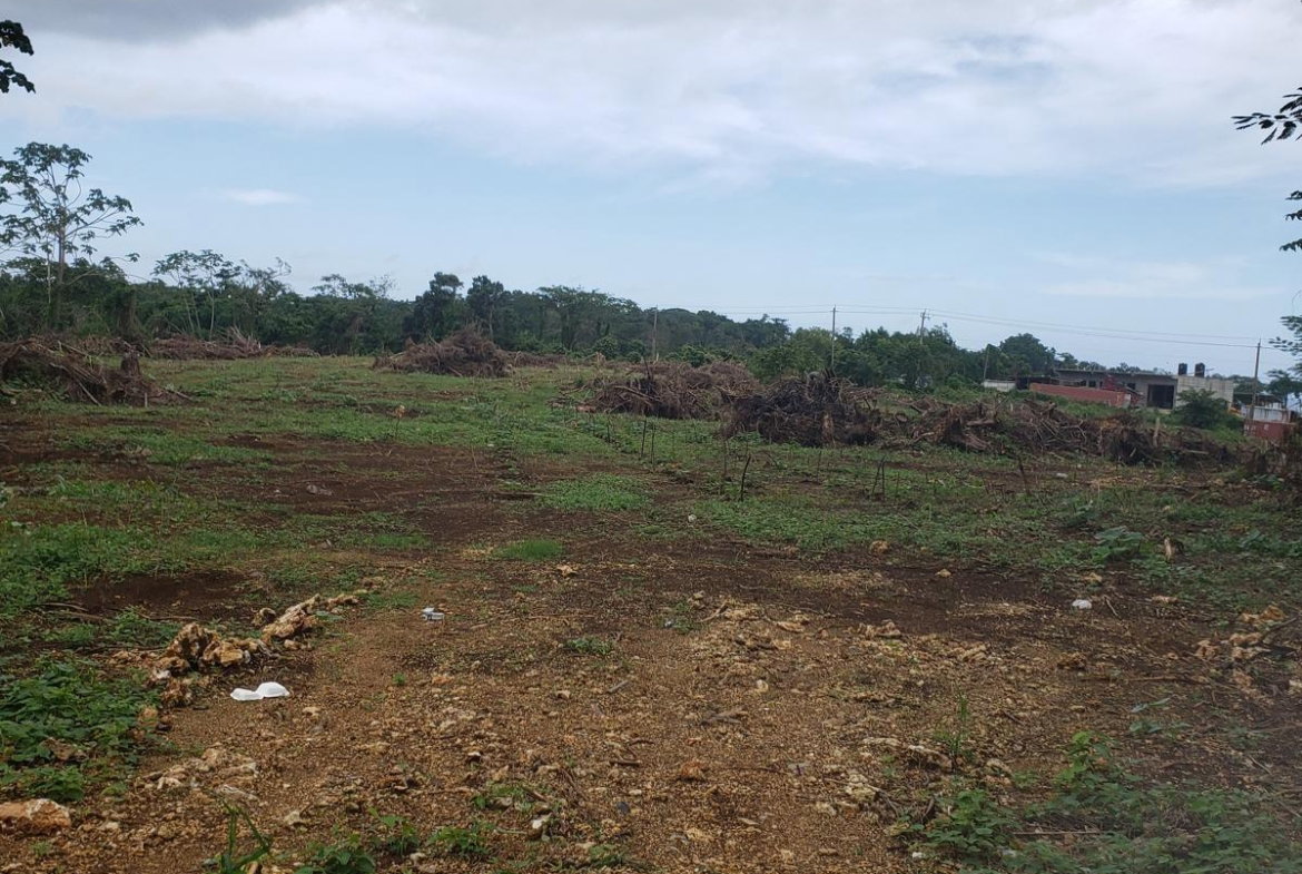 First image of 8l-lot 8l Upper Fair Prospect in Fair Prospect, Portland, Jamaica - property is For Sale