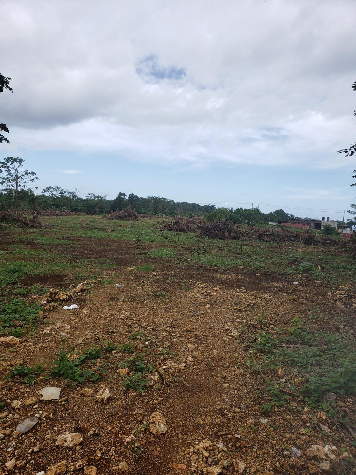 Residential-Lot-for-Sale-in-Upper-Fair-Prospect-Portland-Jamaica First image of 8l-lot 8l Upper Fair Prospect in Fair Prospect, Portland, Jamaica - property is For Sale