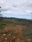 First image of 8l-lot 8l Upper Fair Prospect in Fair Prospect, Portland, Jamaica - property is For Sale