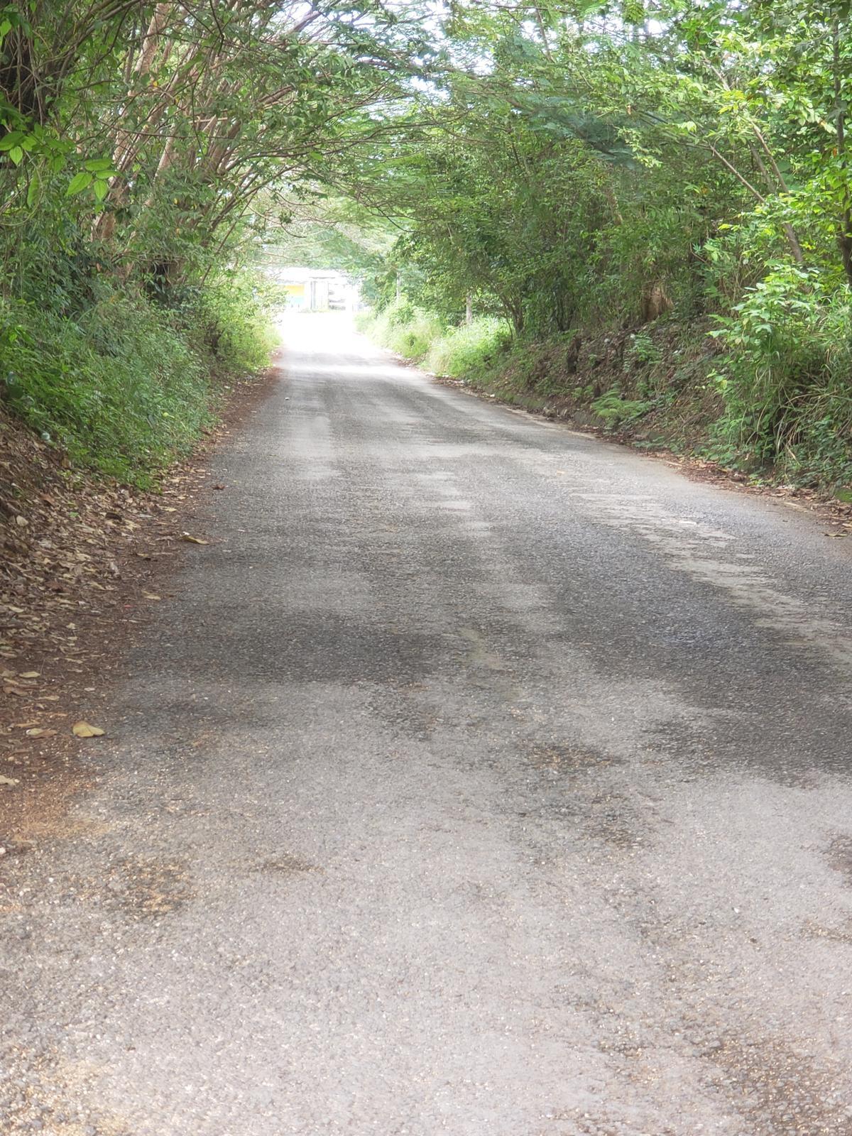 Residential-Lot-for-Sale-in-Upper-Fair-Prospect-Portland-Jamaica Third image of 8l-lot 8l Upper Fair Prospect in Fair Prospect, Portland, Jamaica - property is For Sale