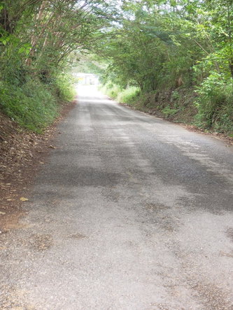 Third image of 8l-lot 8l Upper Fair Prospect in Fair Prospect, Portland, Jamaica - property is For Sale