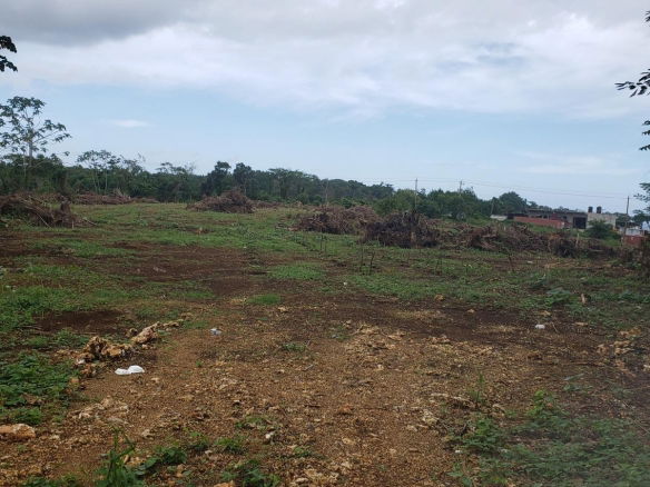 First image of Lot 8j-lot 8 Upper Fair Prospect, Port in Fair Prospect, Portland, Jamaica - property is For Sale