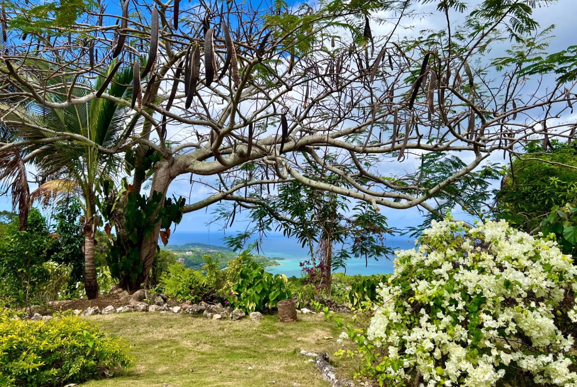 Third image of 23 Margherita Way,unity Hall in Unity Hall, St. James, Jamaica - property is For Sale