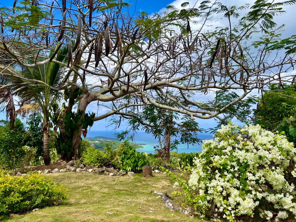 Third image of 23 Margherita Way,unity Hall in Unity Hall, St. James, Jamaica - property is For Sale