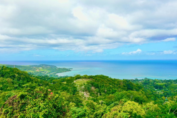Sixth image of 23 Margherita Way,unity Hall in Unity Hall, St. James, Jamaica - property is For Sale