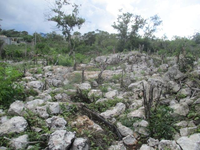 Third image of 417- Belle Air, St. Ann in Belle Air, St. Ann, Jamaica - property is For Sale