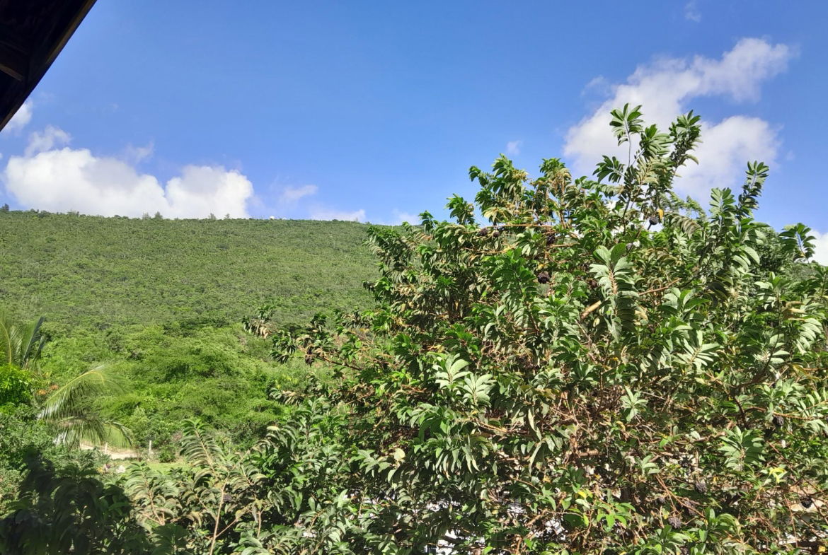 Twenty-First image of Lot 11 Montpelier Heights, Montp in Spur Tree, Manchester, Jamaica - property is For Sale