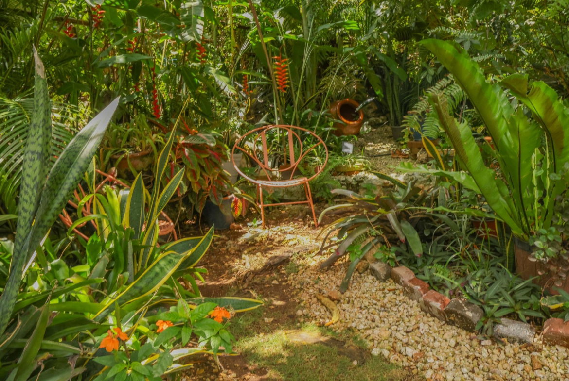 Thirtieth image of Green Acres in Green Acres, St. Catherine, Jamaica - property is For Sale
