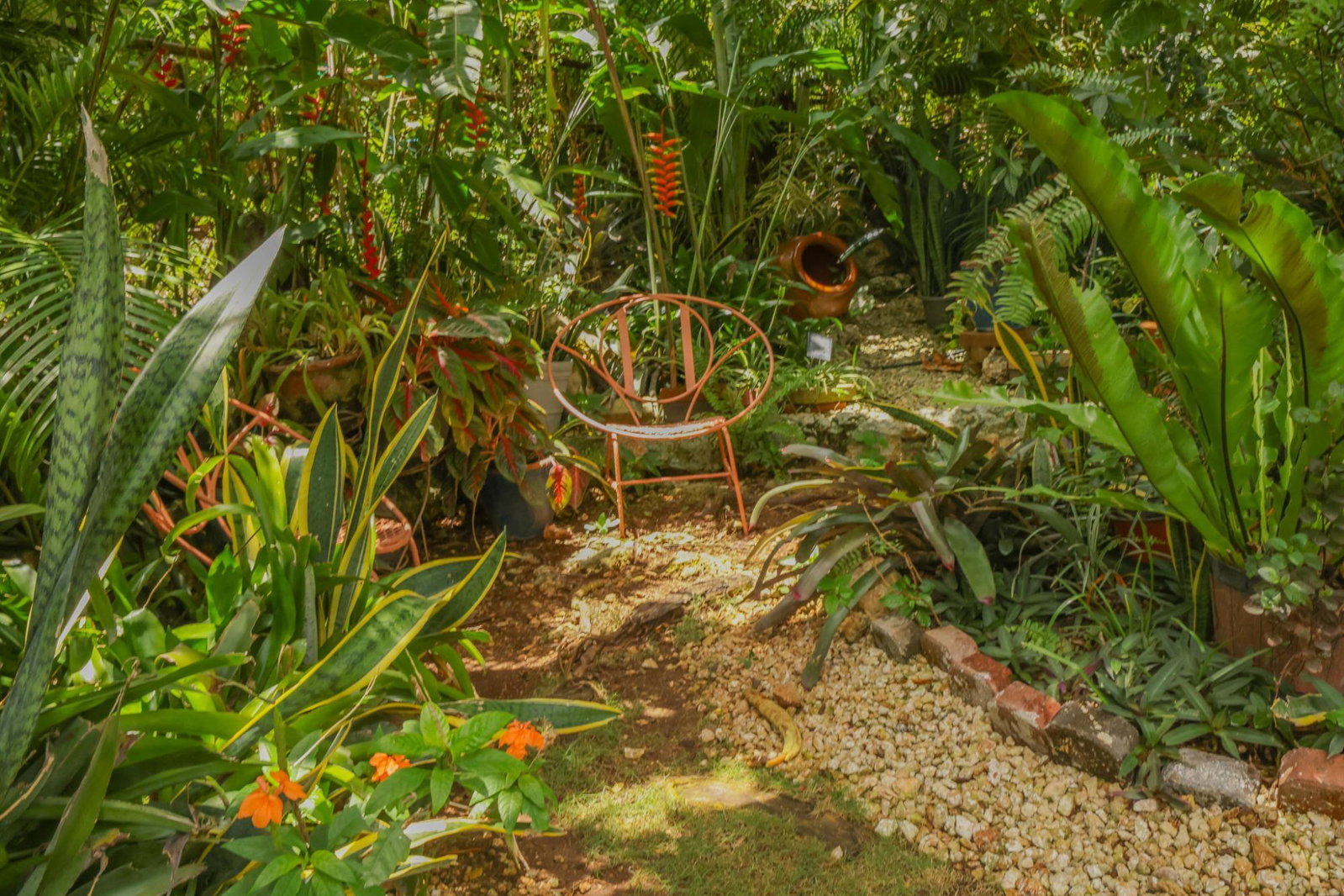 Thirtieth image of Green Acres in Green Acres, St. Catherine, Jamaica - property is For Sale