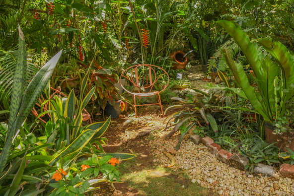 Thirtieth image of Green Acres in Green Acres, St. Catherine, Jamaica - property is For Sale