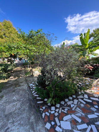 Third image of 2 Deveronside, Salem, St. a in Laughlands, St. Ann, Jamaica - property is For Sale