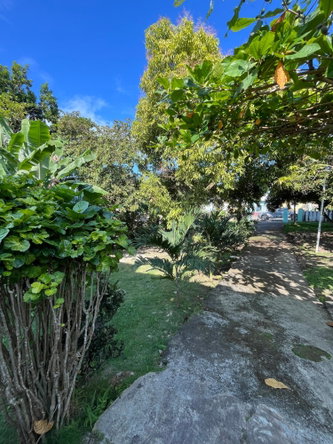 Fourth image of 2 Deveronside, Salem, St. a in Laughlands, St. Ann, Jamaica - property is For Sale