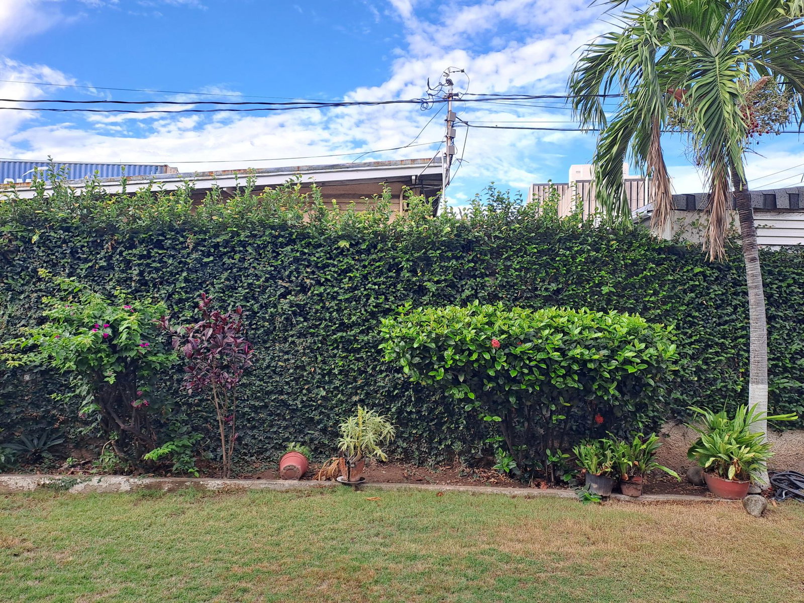 Ninth image of 16 Holborn Road in Kingston 5, St. Andrew, Jamaica - property is For Sale