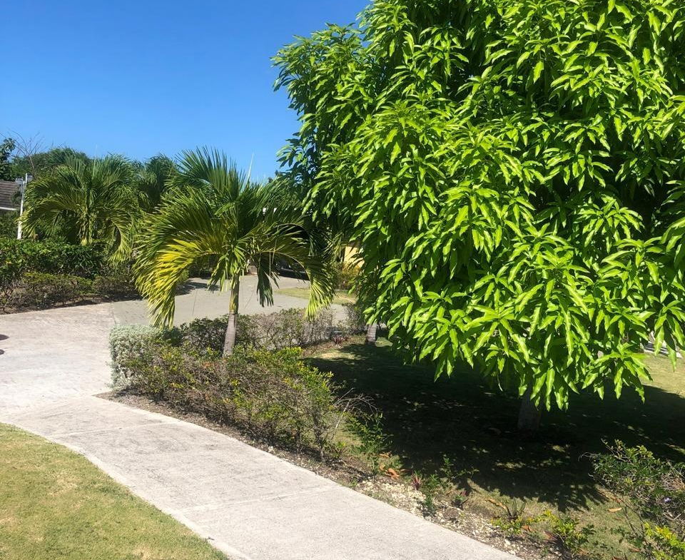 Ninth image of Lot 613 Sweetsop Ave., Richmond in St. Ann's Bay, St. Ann, Jamaica - property is For Sale