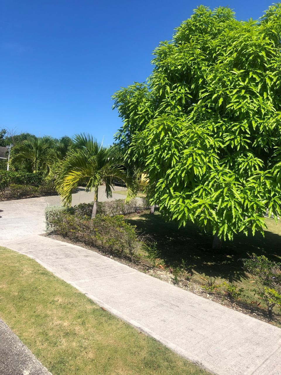 Ninth image of Lot 613 Sweetsop Ave., Richmond in St. Ann's Bay, St. Ann, Jamaica - property is For Sale