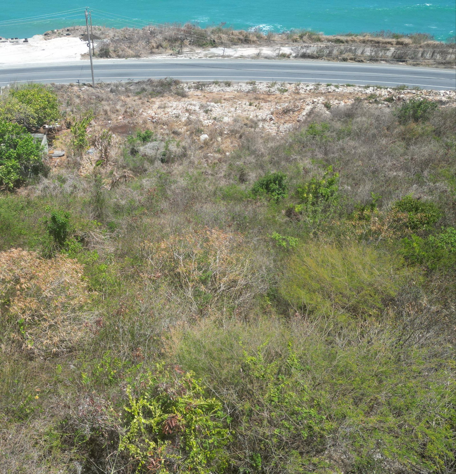Fourth image of Creighton Hall Estate in WHITE HORSES, St. Thomas, Jamaica - property is For Sale