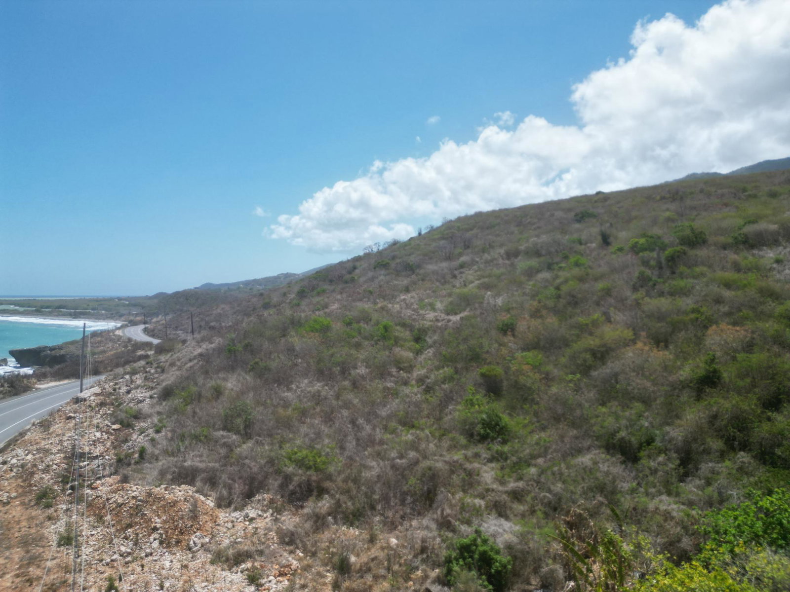 Sixth image of Creighton Hall Estate in WHITE HORSES, St. Thomas, Jamaica - property is For Sale