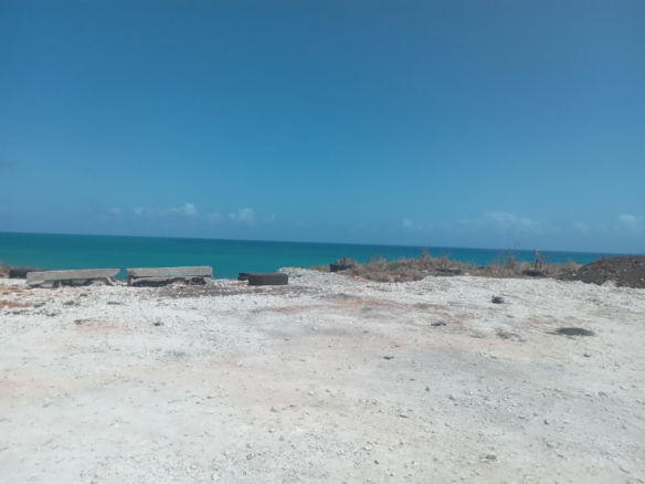 First image of Creighton Hall Estate in WHITE HORSES, St. Thomas, Jamaica - property is For Sale