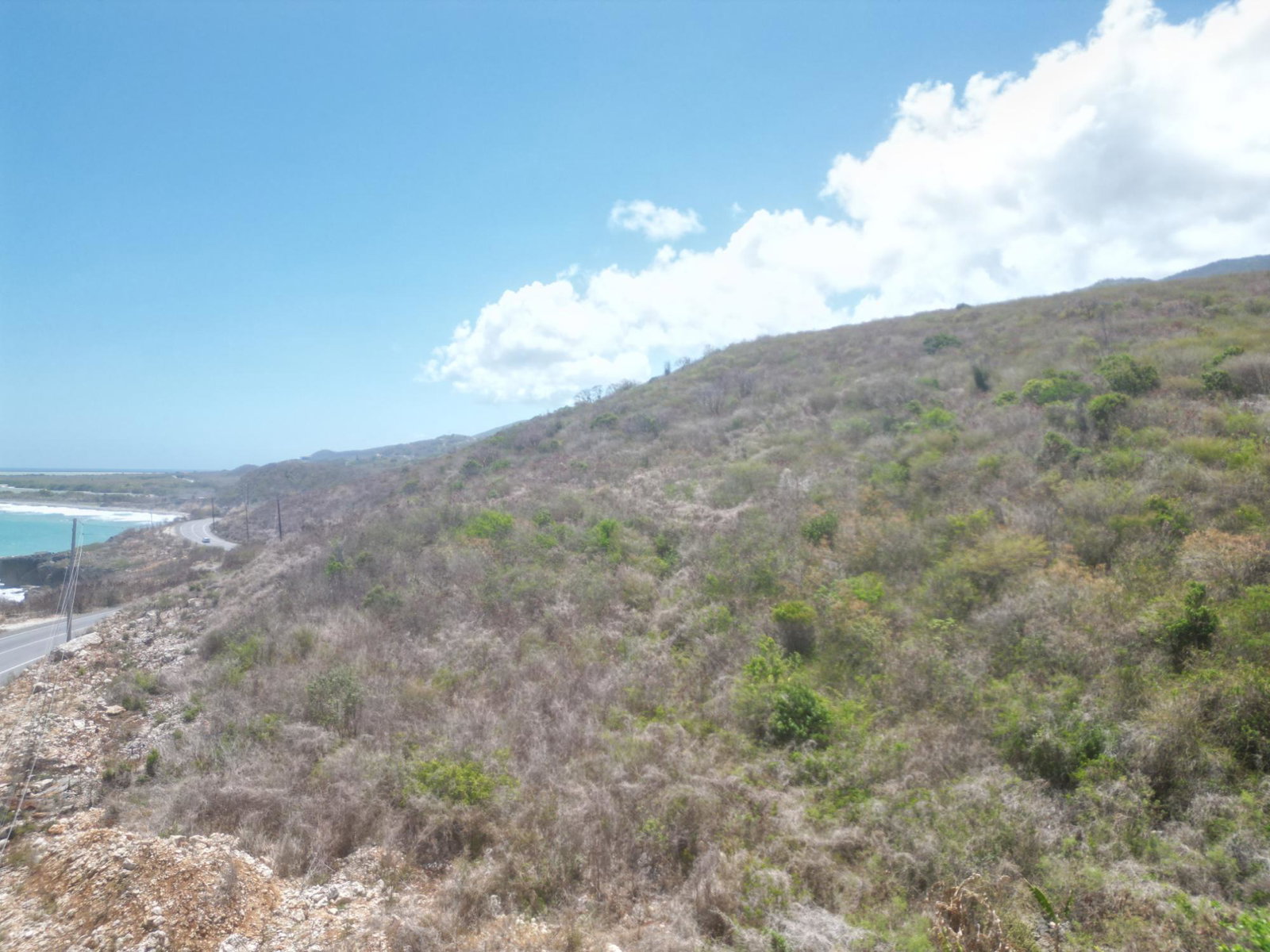 Seventh image of Creighton Hall Estate in WHITE HORSES, St. Thomas, Jamaica - property is For Sale