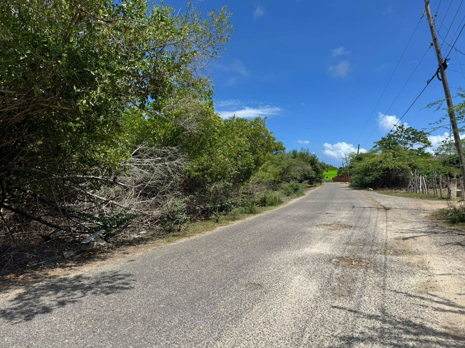 1-Acre-Ocean-View-Residential-Land-for-Sale-in-Parottee-St.-Elizabeth-Jamaica Third image of Parottee, St. Elizabeth in Parottee, St. Elizabeth, Jamaica - property is For Sale