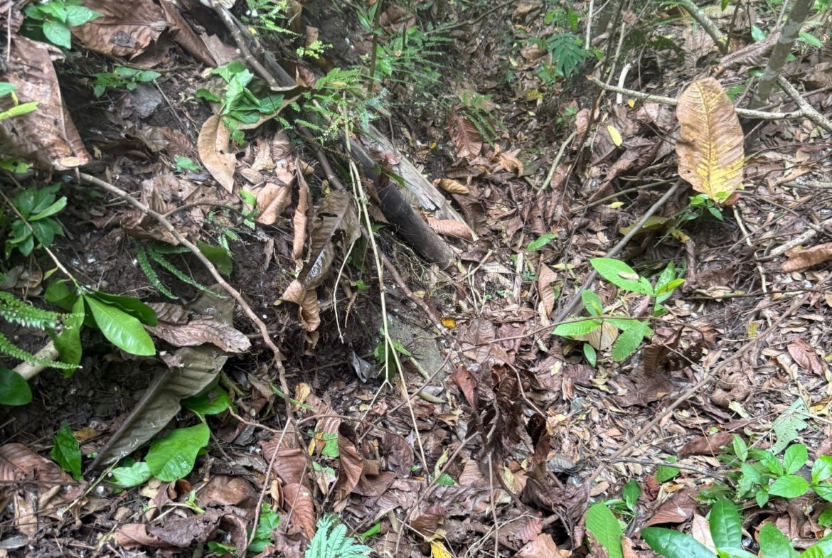 Eleventh image of Skyline Drive, Jacks Hill in Kingston 6, St. Andrew, Jamaica - property is For Sale