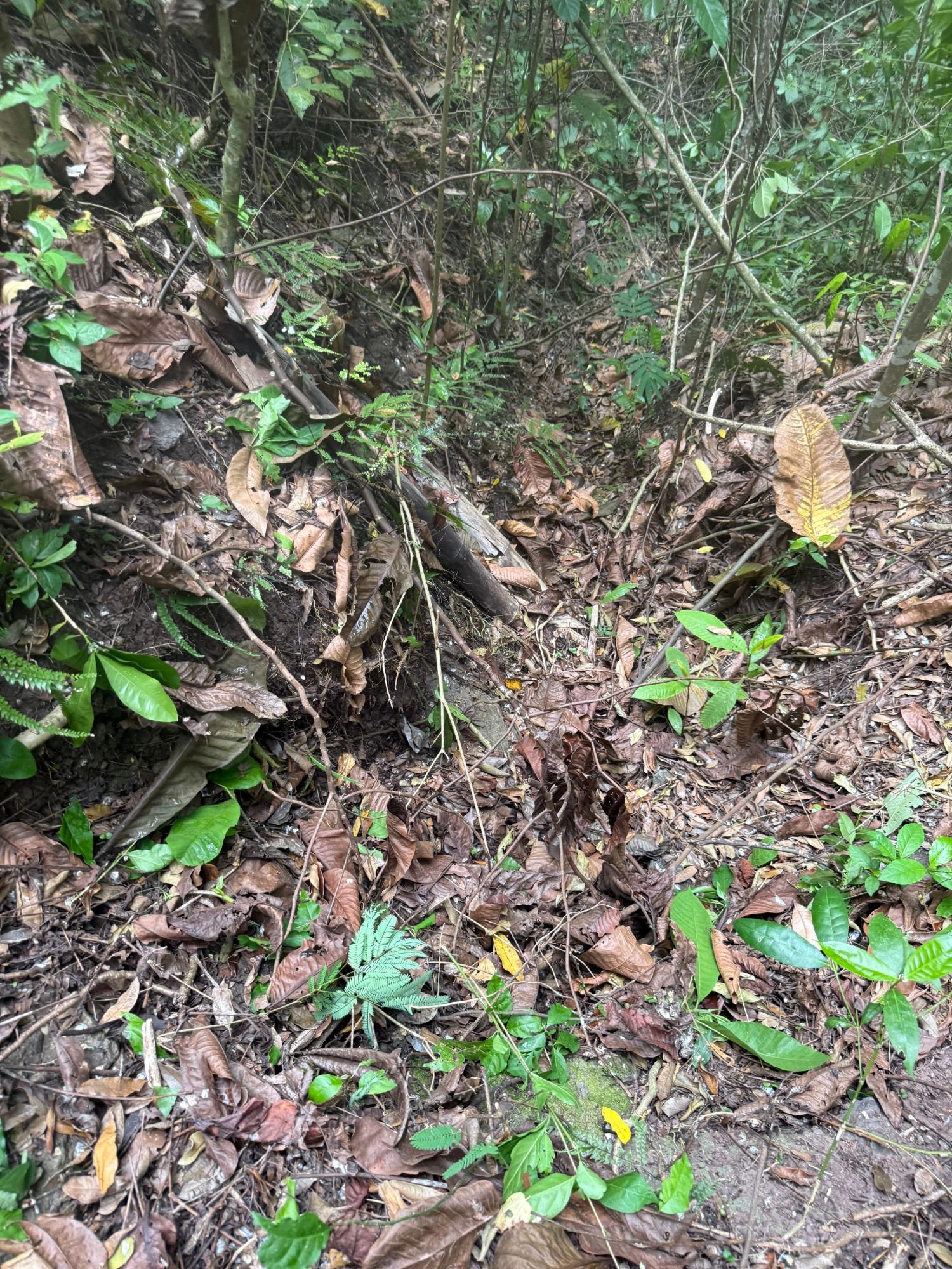 1-Acre-Residential-Lot-for-Sale-in-Jacks-Hill-Skyline-Drive-St.-Andrew-Jamaica Eleventh image of Skyline Drive, Jacks Hill in Kingston 6, St. Andrew, Jamaica - property is For Sale