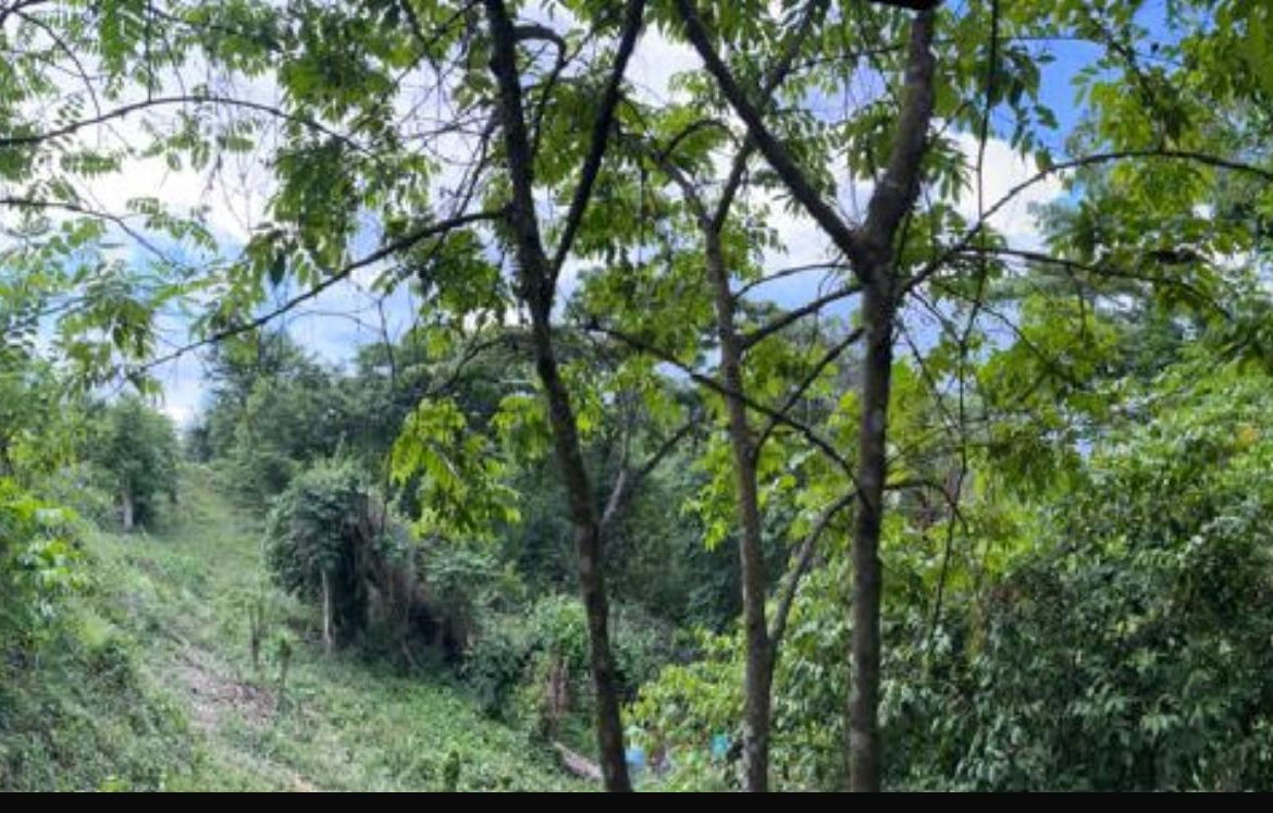 Fourth image of Skyline Drive, Jacks Hill in Kingston 6, St. Andrew, Jamaica - property is For Sale