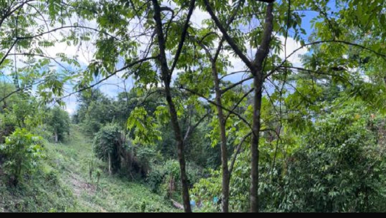 1-Acre-Residential-Lot-for-Sale-in-Jacks-Hill-Skyline-Drive-St.-Andrew-Jamaica Fourth image of Skyline Drive, Jacks Hill in Kingston 6, St. Andrew, Jamaica - property is For Sale