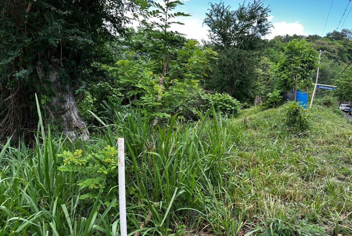 Fifth image of Skyline Drive, Jacks Hill in Kingston 6, St. Andrew, Jamaica - property is For Sale