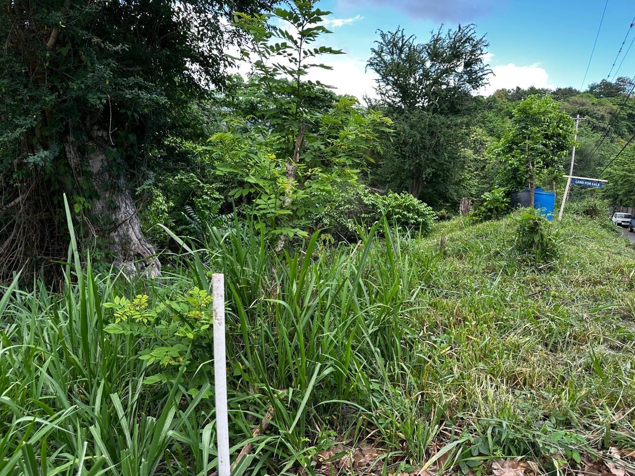 1-Acre-Residential-Lot-for-Sale-in-Jacks-Hill-Skyline-Drive-St.-Andrew-Jamaica Fifth image of Skyline Drive, Jacks Hill in Kingston 6, St. Andrew, Jamaica - property is For Sale
