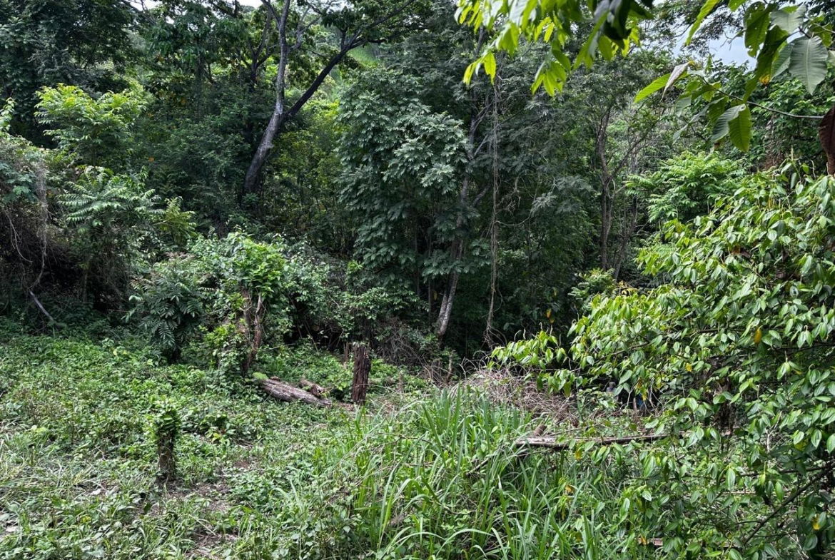 Sixth image of Skyline Drive, Jacks Hill in Kingston 6, St. Andrew, Jamaica - property is For Sale