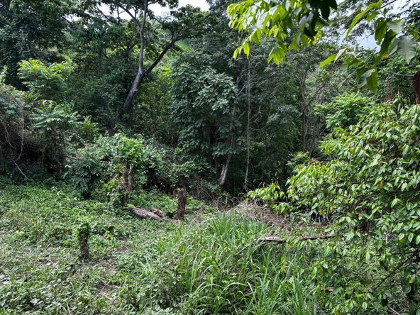 Sixth image of Skyline Drive, Jacks Hill in Kingston 6, St. Andrew, Jamaica - property is For Sale