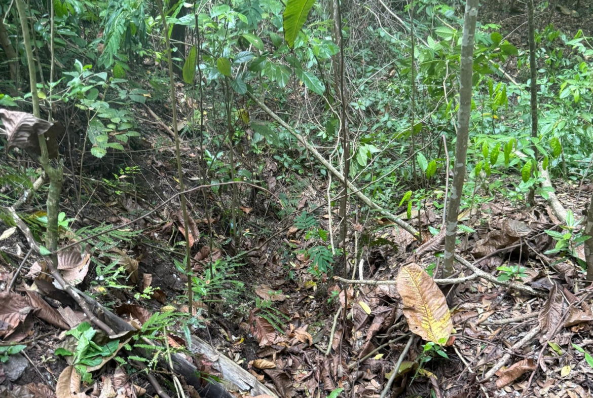 Eighth image of Skyline Drive, Jacks Hill in Kingston 6, St. Andrew, Jamaica - property is For Sale