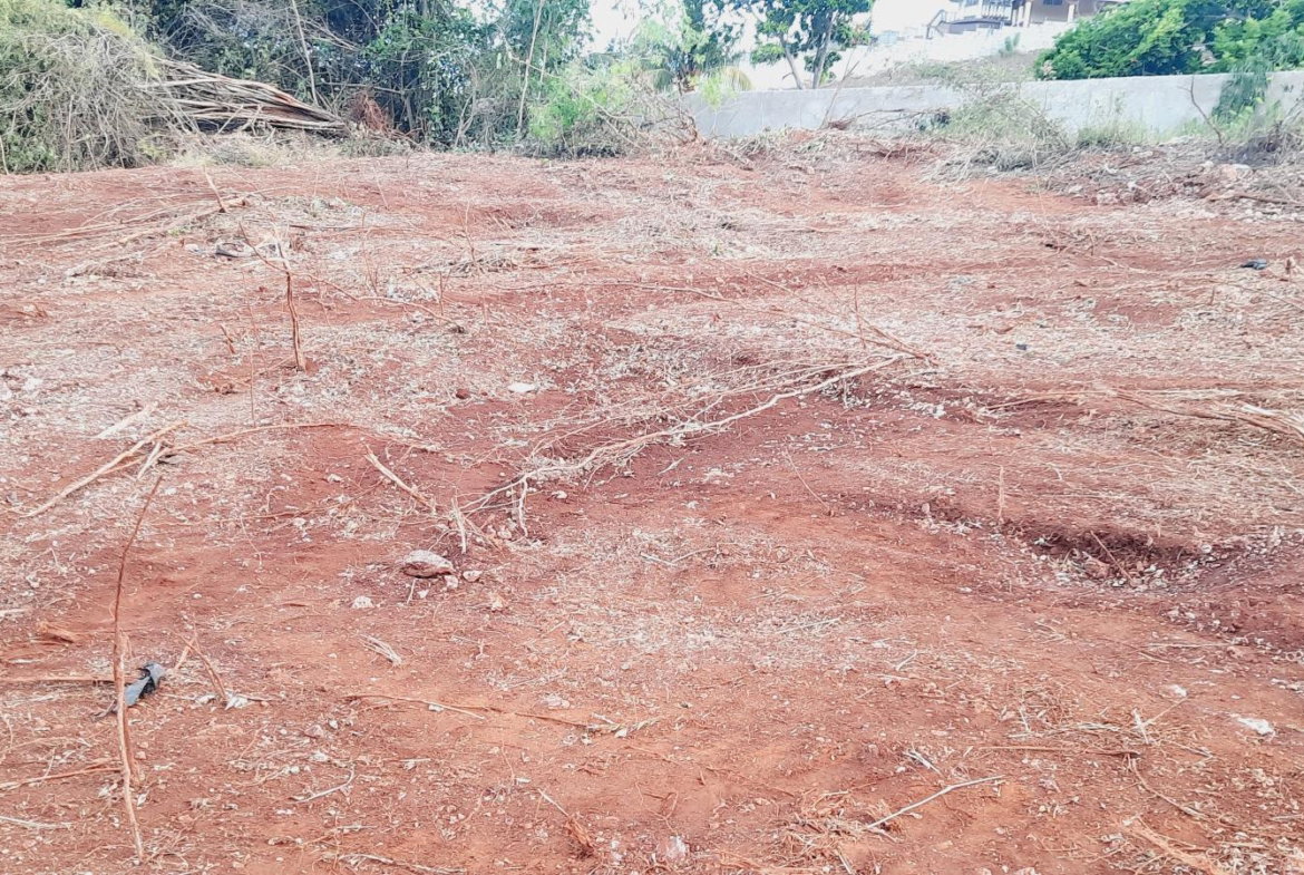 Second image of Morningside in Junction, St. Elizabeth, Jamaica - property is For Sale