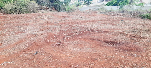 Second image of Morningside in Junction, St. Elizabeth, Jamaica - property is For Sale