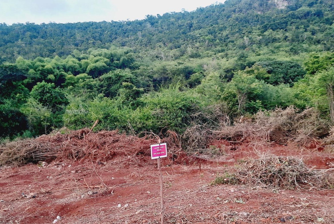 First image of Morningside in Junction, St. Elizabeth, Jamaica - property is For Sale