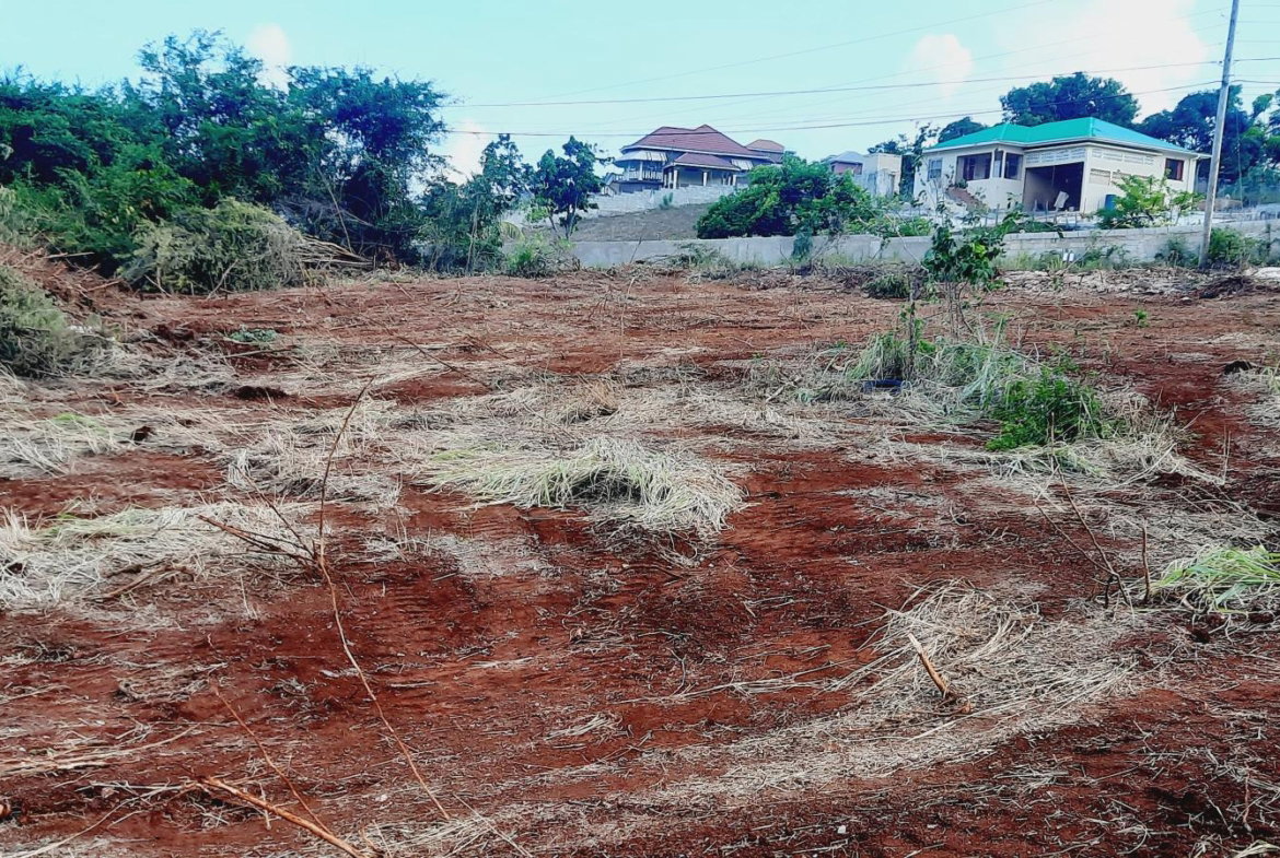 Fifth image of Morningside in Junction, St. Elizabeth, Jamaica - property is For Sale