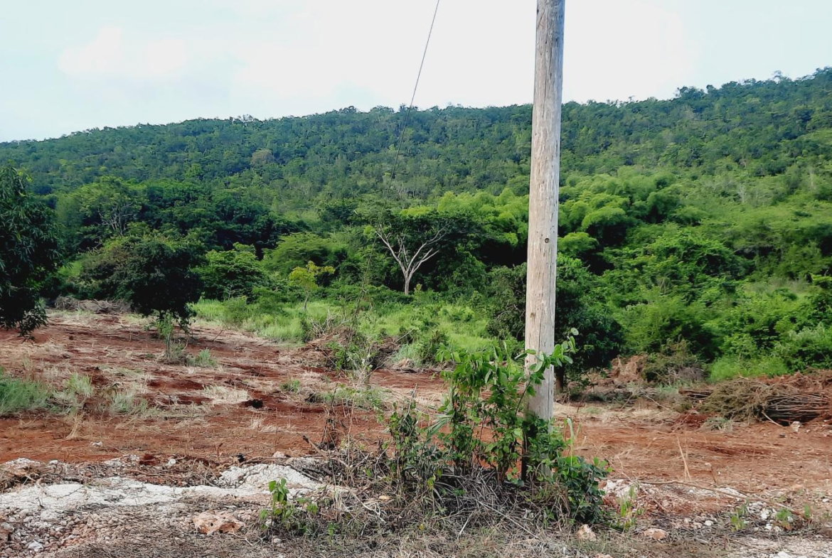 Seventh image of Morningside in Junction, St. Elizabeth, Jamaica - property is For Sale