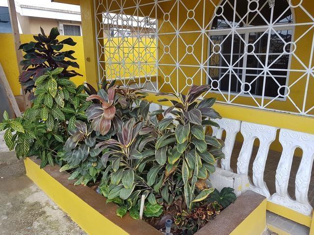 Second image of 91 Montego West Village in Montego Bay, St. James, Jamaica - property is For Rent
