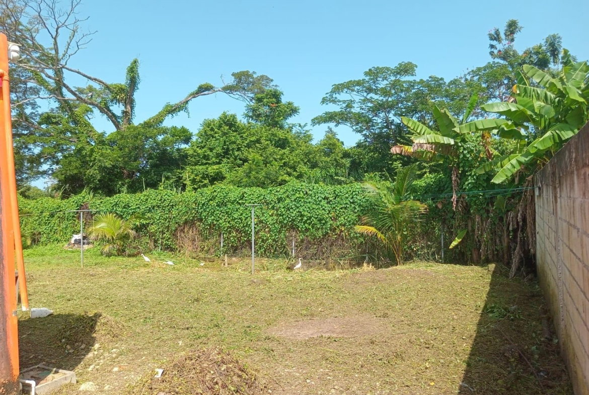 Sixth image of Lot 327- Winchester Estate, Green in Green Island, Hanover, Jamaica - property is For Rent