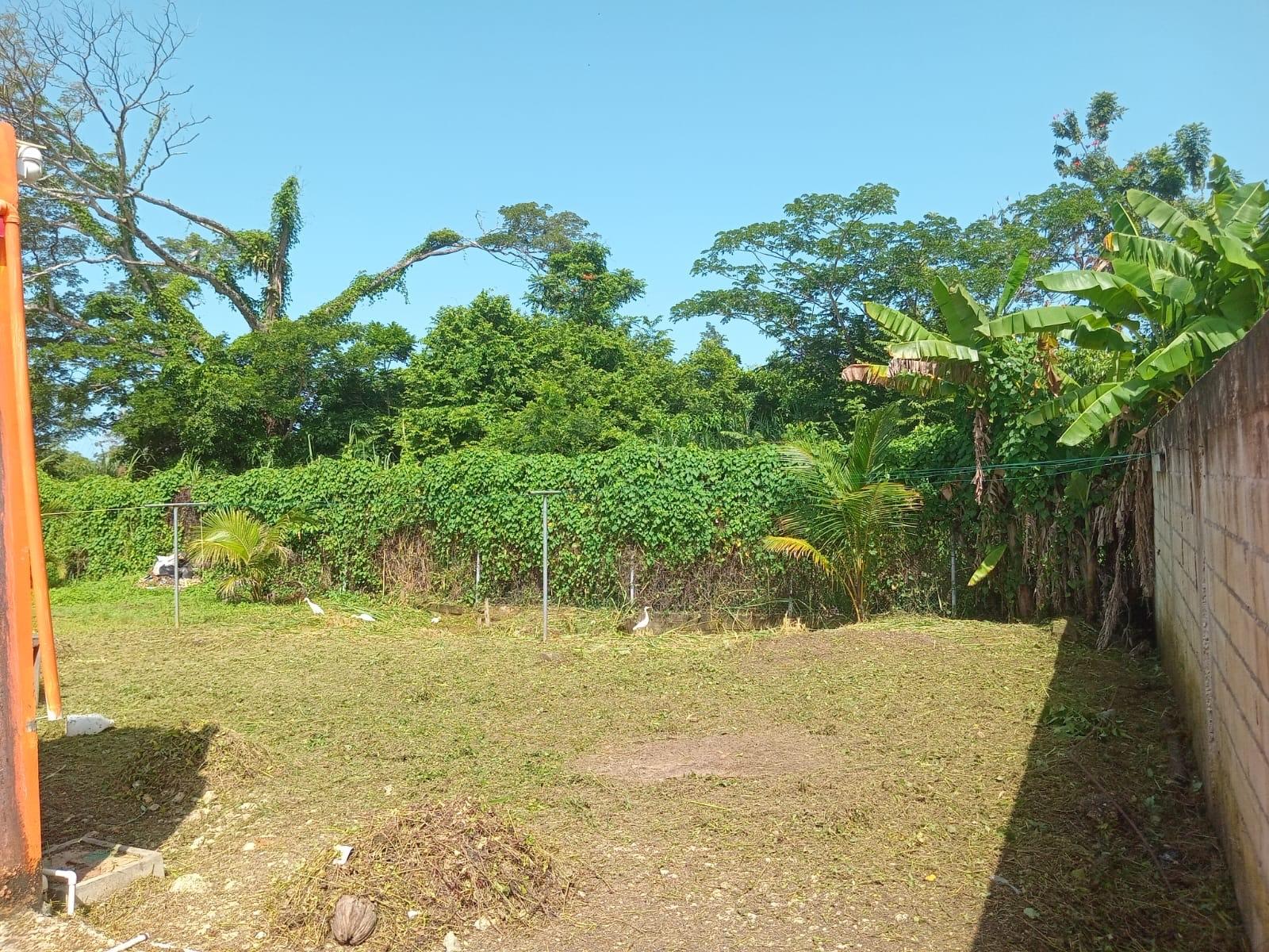 Sixth image of Lot 327- Winchester Estate, Green in Green Island, Hanover, Jamaica - property is For Rent