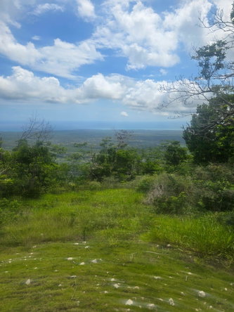 Eleventh image of Elgin District in Malvern, St. Elizabeth, Jamaica - property is For Sale