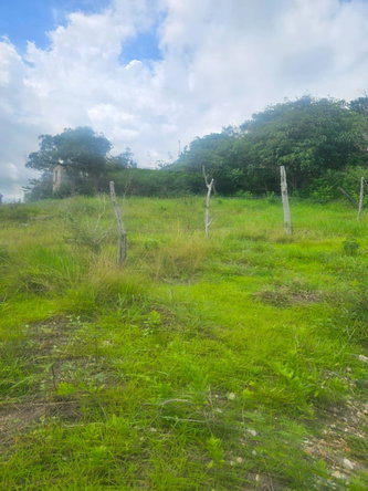 Third image of Elgin District in Malvern, St. Elizabeth, Jamaica - property is For Sale