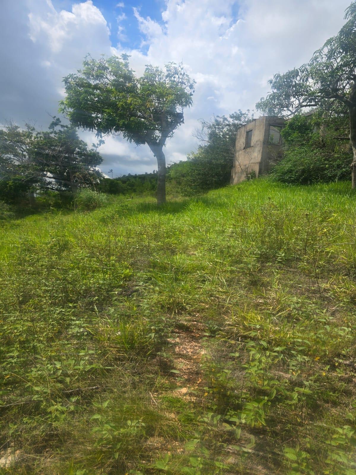 Fourth image of Elgin District in Malvern, St. Elizabeth, Jamaica - property is For Sale