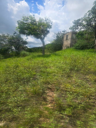 Fourth image of Elgin District in Malvern, St. Elizabeth, Jamaica - property is For Sale